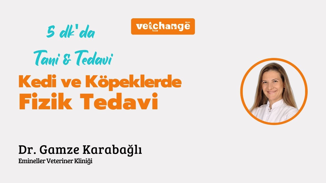 5 dk'da Kedi ve Köpeklerde Fizik Tedavi ''Dr. Gamze Karabağlı''
